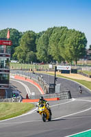 Lower Group Yellow Bikes